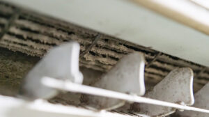 HVAC MOLD Here is what you need to know?